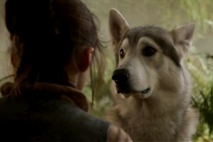 gotnymeria